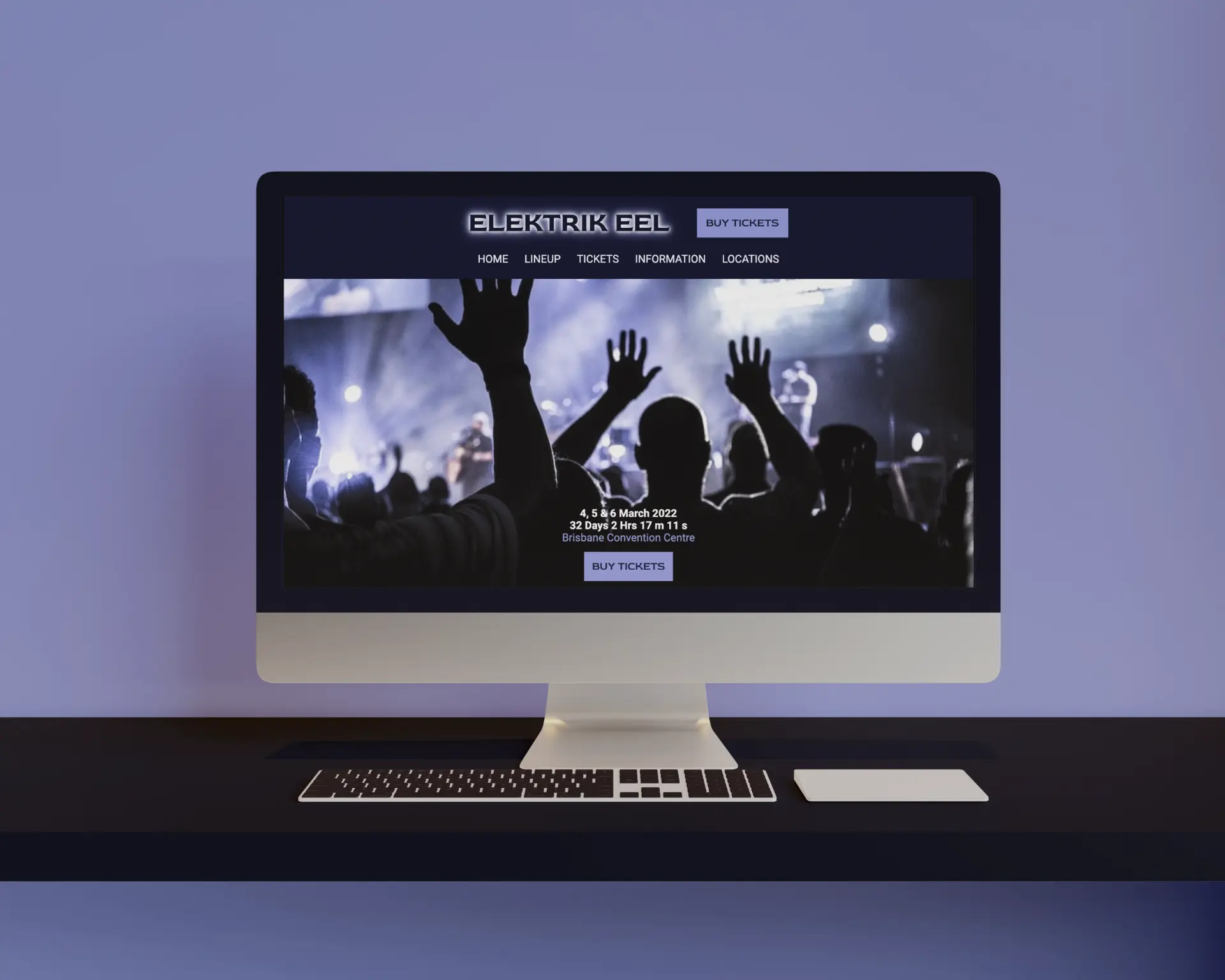 Web Design and Development, Elektrik Eel Music Festival